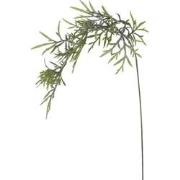 Feuillage Herbe tombante - Vert / 70 cm