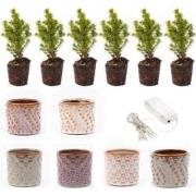 URBANJNGL - Mini-kerstboom set 6 - Inclusief pot set Madrid