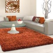 Tapijtenloods Basic Shaggy vloerkleed Terra / Oranje Hoogpolig- 120x17...