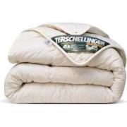 Terschellinger Wolweelde 100%zuiver Wollen All-Season dekbed 140x220cm