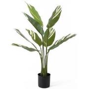 Artificial Plant Calathea