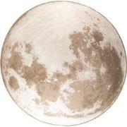 Zuiver Moon Buiten Vloerkleed Rond '200 Beige