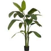 Mica Decorations Heliconia Kunstplant - H175 x Ø140 cm - Groen