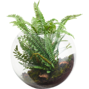 Terrarium met groene kunstvaren L32