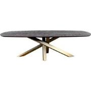 PTMD Alore Black Gold Diningtable Oval 240 Cm