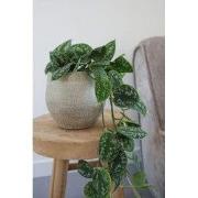 HS Potterie Taupe Pot Tokio - D39xH36