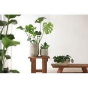 HS Potterie Delhi Vaas Groen - 30