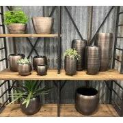 HS Potterie Bari  Rosé - 14