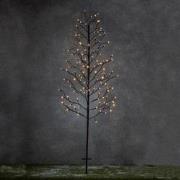 Luca Lighting Boom 118 LED Kerstverlichting - 80x1x150 cm - Warmwit (U...