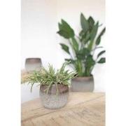 HS Potterie Milaan Pot Groen - H21