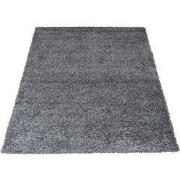 Vloerkleed Buddy Antraciet 200 x 280 cm