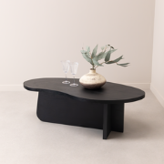 Stalux - Salontafel Otis 110 x 50cm, kleur zwart eiken