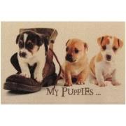 Deurmat voor puppy's - L60 x b40 cm