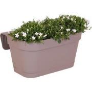 Campanula Addenda Ambella white - Balkonbak taupe met 3 stuks campanul...
