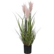 Mica Decorations Plume grass Kunstplant - 35x35x80 cm - PVC - Roze