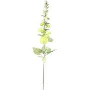 PTMD Kunstbloem Hollyhock - 65x26x114 cm - Plastic - Groen