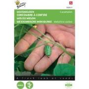 5 stuks - Muis meloen Cucamelon Tuinplus