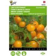 5 stuks - Tomaten Gourmandise (gele cherry patio) Tuinplus