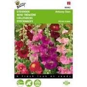 5 stuks - Althaea Antwerp Stars mix Tuinplus