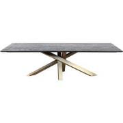 PTMD Alore Brown Gold Diningtable Rectangle 200 Cm