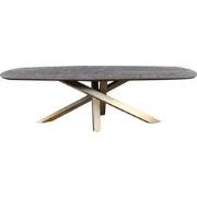 PTMD Alore Brown Gold Diningtable Oval  280 Cm