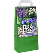 2 stuks - Bloembollen Bulb Garden Blue 100 bollen