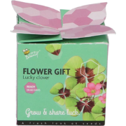 Grow gifts kweekset flower gift klavertje 4