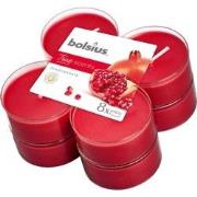 Maxilicht geur 8 stuks True Scents Pomegranate