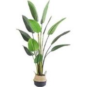 Kunstplant Blad Strelitzia Soft 160 cm