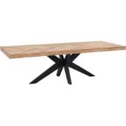 DTP Home Dining table Einstein rectangular,77x260x100 cm, recycled tea...