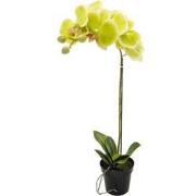 Orchidee kunstplant 1-tak 55 cm, groen