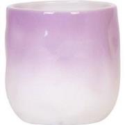 Kolibri Home | Gradience sierpot - Purple - Ø9cm