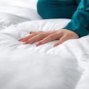 Lanotte® - Dekbed 15%/85% Dons-Veren - 200x200 cm