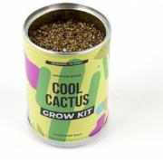 Gift Republic Coole Cactus