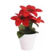 Kerstplant Rood Pot Keramiek