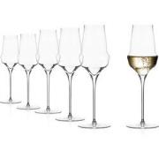 Stolzle Cocoon 290 ml Champagne Wijnglazen Kristal- 6 stuks