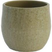 HS Potterie Lugo Groen - 18