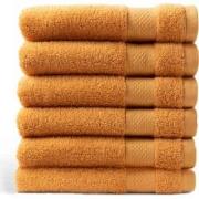 DoubleDry Hotel Handdoeken 50 x 100 cm – Set van 6 – 100% Katoen 500 g...