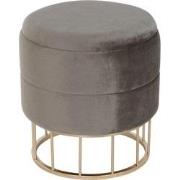 Velvet Poef Glamour - Grijs met Goudkleurige Onderstel met opbergruimt...
