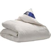 Ten Cate Dekbed - Donzen Dekbed 200x200 - 4 Seizoenen Dekbed - 60% Een...