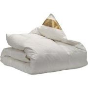 Ten Cate Dekbed - Donzen Dekbed 200x200 - 4 Seizoenen Dekbed - 90% Gan...