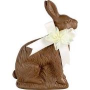 Clayre & Eef Decoratie Beeld Konijn 9x4x13 cm Bruin Kunststof