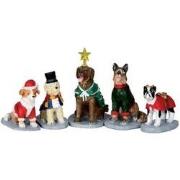 Costumed canines