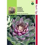 2 stuks - Artisjok Violet De Provence