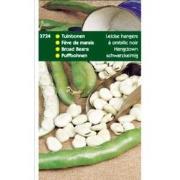 5 stuks - Tuinbonen Leidse Hangers 250 gram