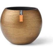 Vaas bol Retro 17x14 goud