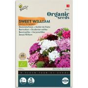 Zaden dianthus enkel gemengd 1 gram
