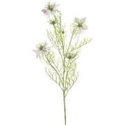 Nigella spray lt purple 68 cm Emerald