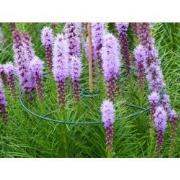Vario plantensteunen dia. 30-40cm set a 3 stuks