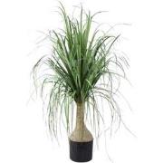 PTMD Kunstboom Coconut - 60x75x98 cm - Polyester - Groen